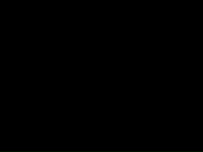Channel Zim